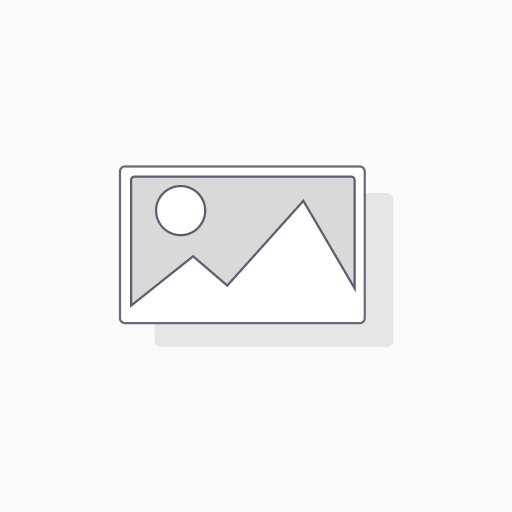💻 AI Developer Agent — 🔵 Professional